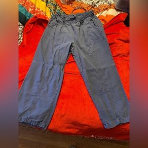 Aerie cargo pants